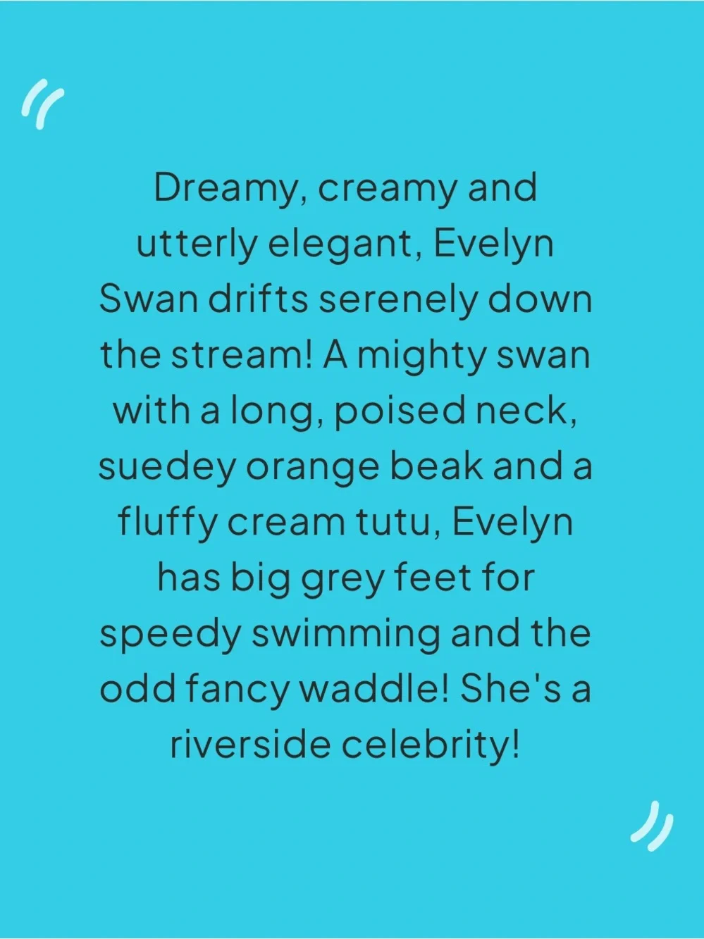 Jellycat evelyn swan